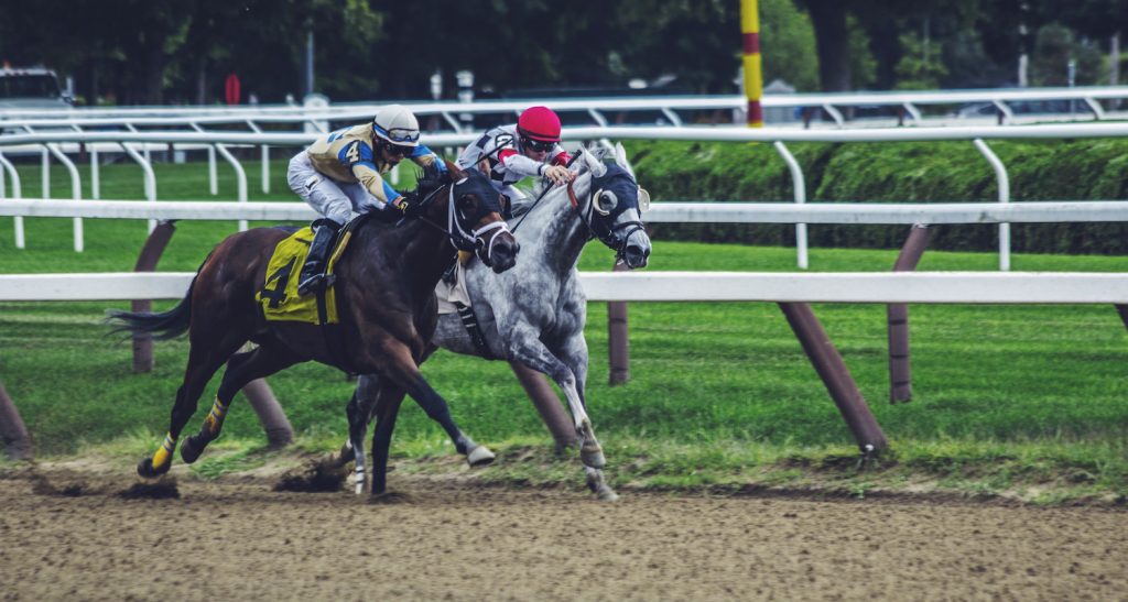 Kentucky derby, horse race, winning horse